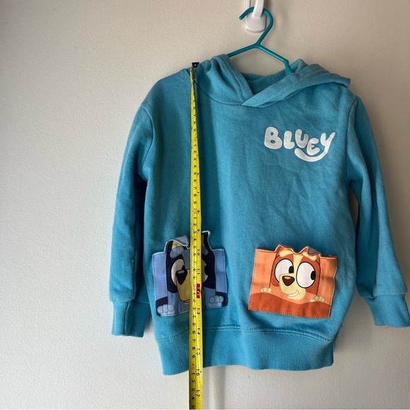 Bluey Kids Hoodie Sweatshirt 4T Blue Cartoon Pockets Heeler Characters Girls Boy - Picture 4 of 12